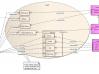 Data Mapping in UML